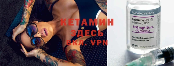 индика Костерёво