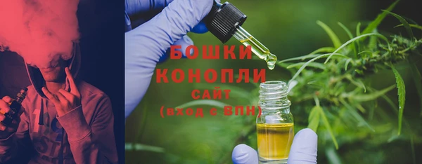 дживик Корсаков