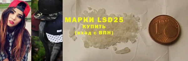 индика Костерёво