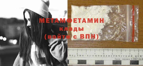 индика Костерёво