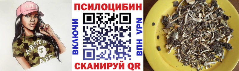 Галлюциногенные грибы GOLDEN TEACHER  даркнет сайт  Медвежьегорск 