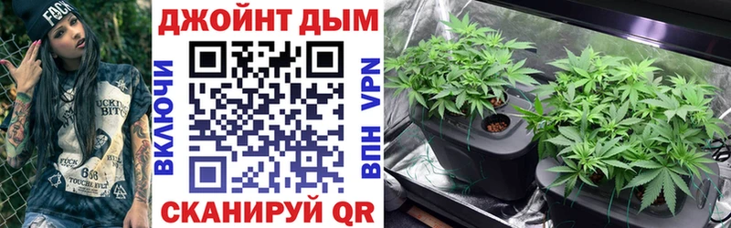 закладка  Медвежьегорск  Бошки Шишки гибрид 